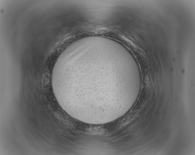 X0000085761447200703301416