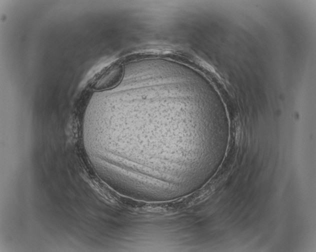 X0000085761448200703301416