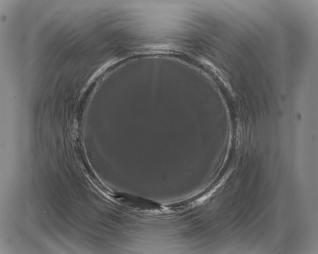 X0000085761449200703301416