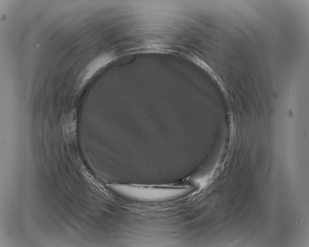 X0000085761450200703301416