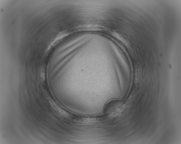 X0000085761451200703301416