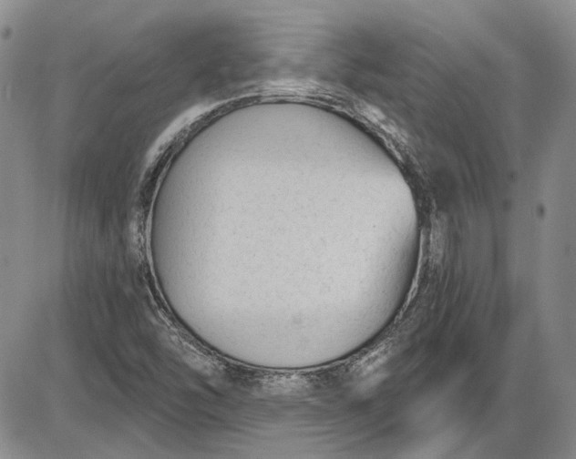 X0000085761454200703301416