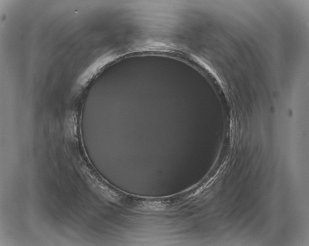 X0000085761455200703301416