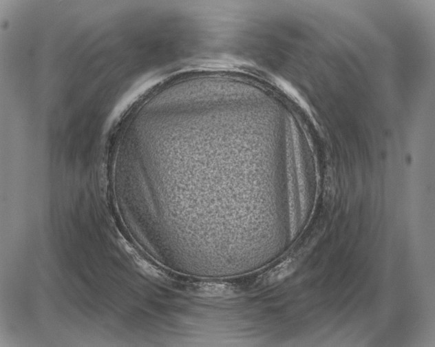X0000085761456200703301416