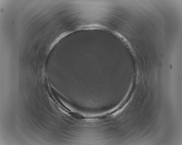 X0000085761457200703301416