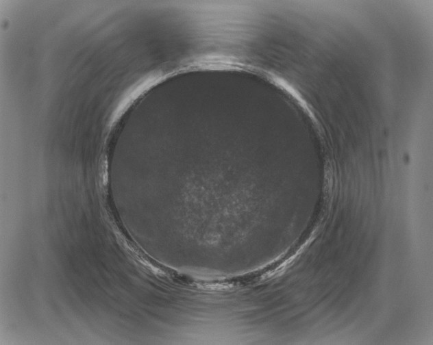 X0000085761461200703301415