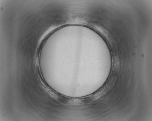 X0000085761462200703301415