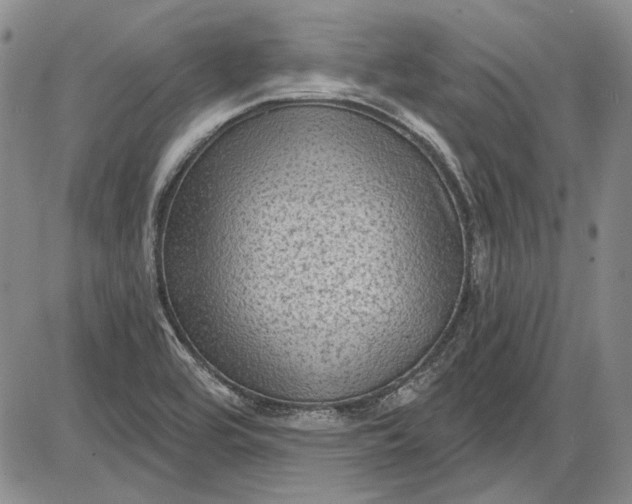 X0000085761464200703301415