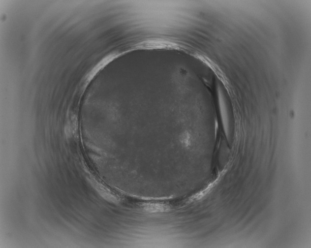X0000085761465200703301415