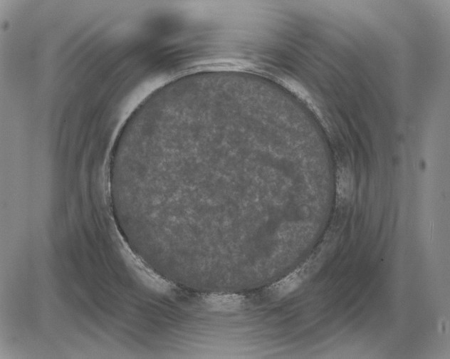 X0000085761466200703301415