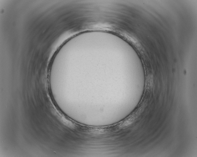 X0000085761470200703301415