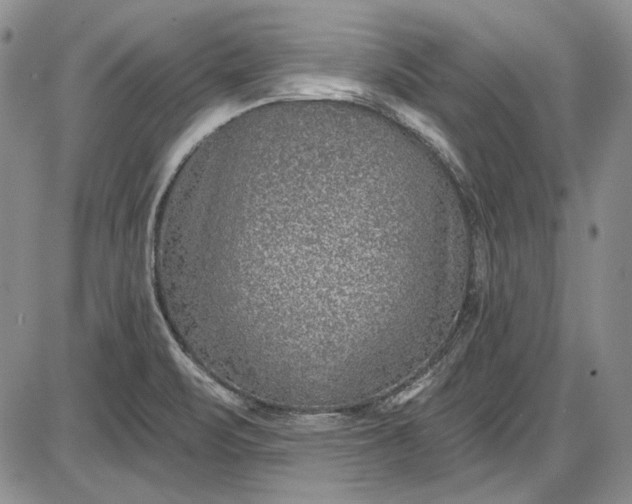 X0000085761471200703301415