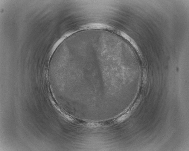 X0000085761473200703301415