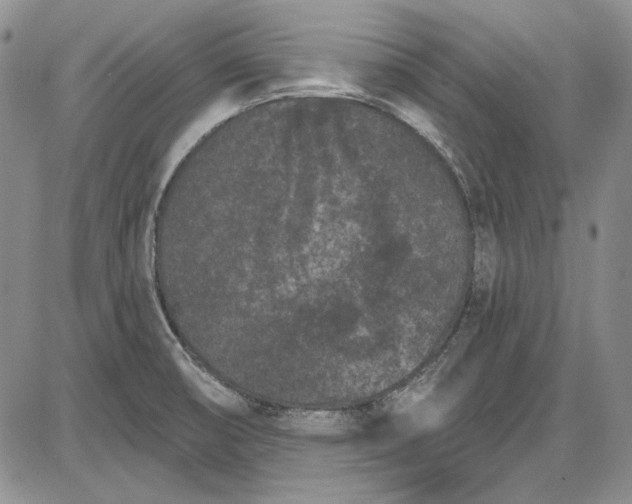X0000085761474200703301415