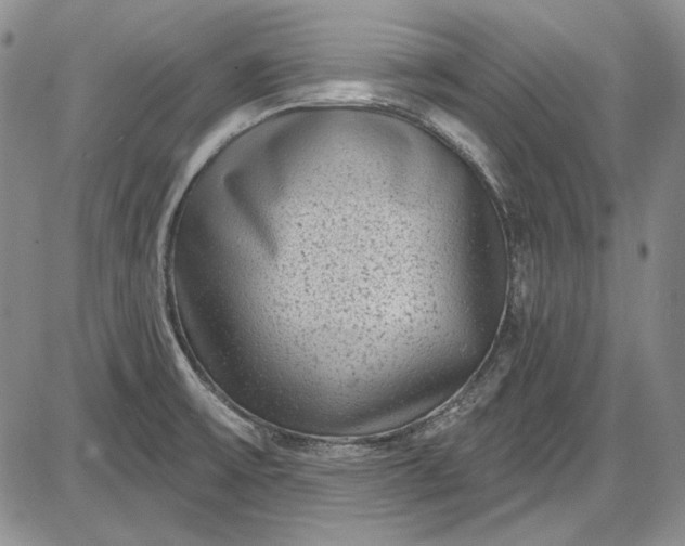 X0000085761475200703301415