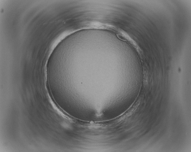 X0000085761479200703301415