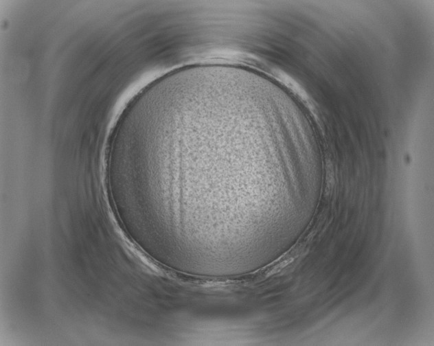 X0000085761480200703301415