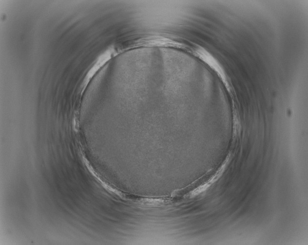 X0000085761481200703301415