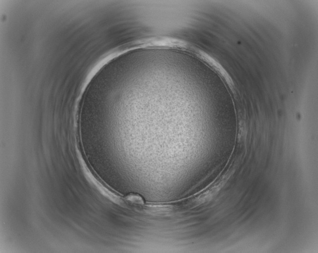 X0000085761483200703301415