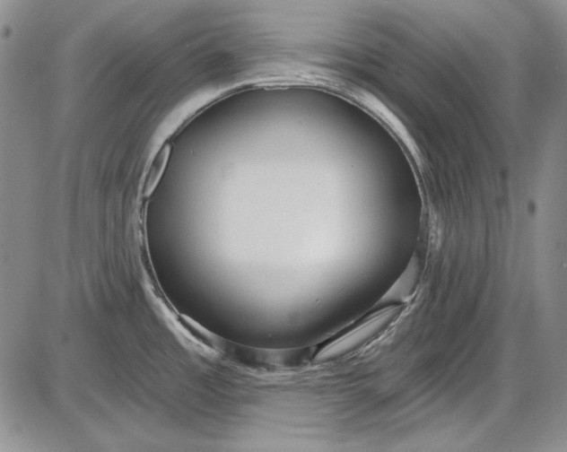 X0000085761485200703301415