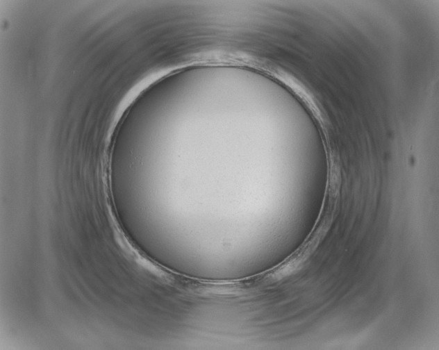 X0000085761486200703301415