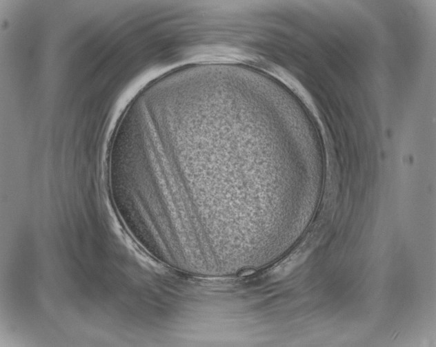 X0000085761488200703301415