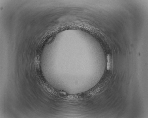 X0000085761491200703301414
