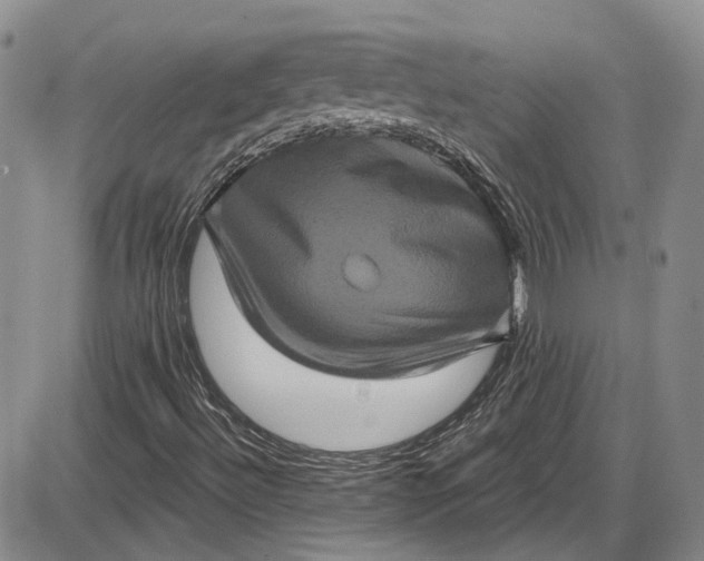 X0000085761492200703301414