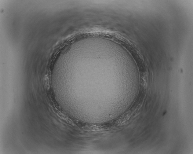 X0000085761493200703301414