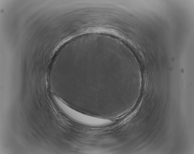 X0000085761497200703301414