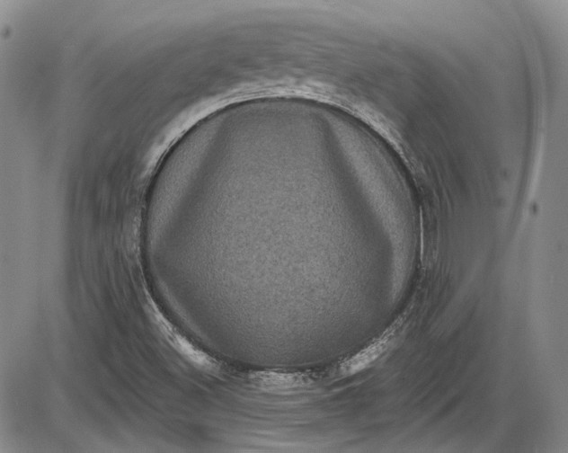 X0000085761500200703301414