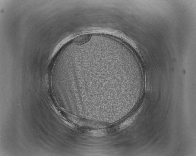 X0000085761501200703301414