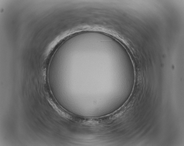 X0000085761503200703301414
