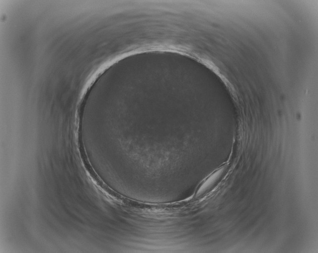 X0000085761508200703301415