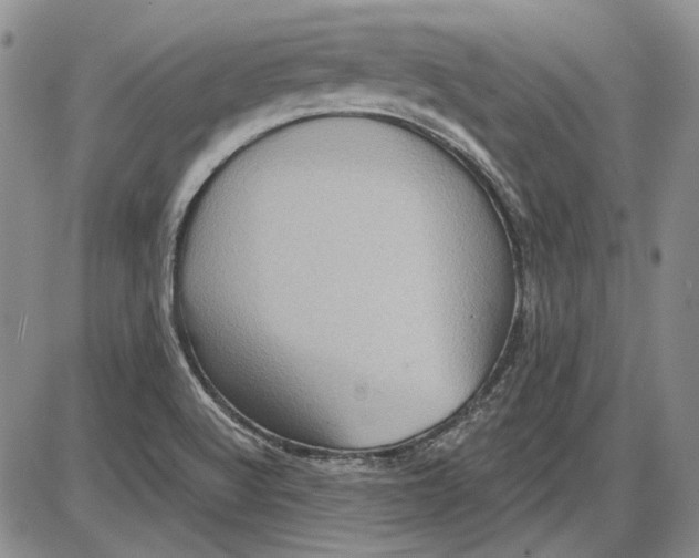 X0000085761512200703301415