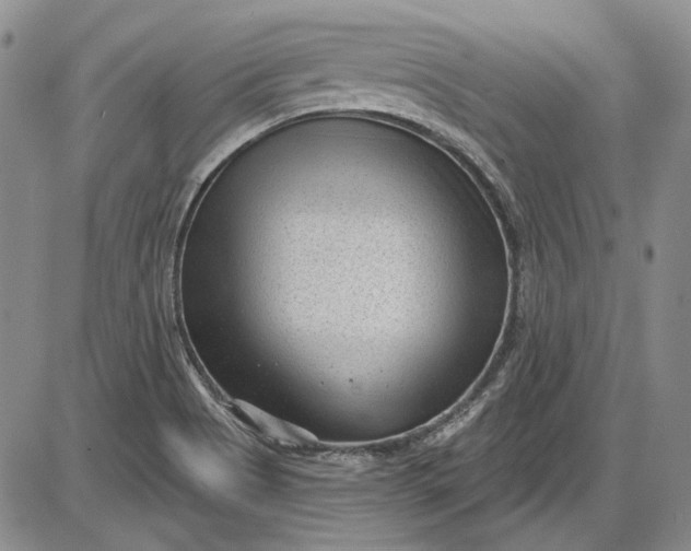 X0000085761513200703301415