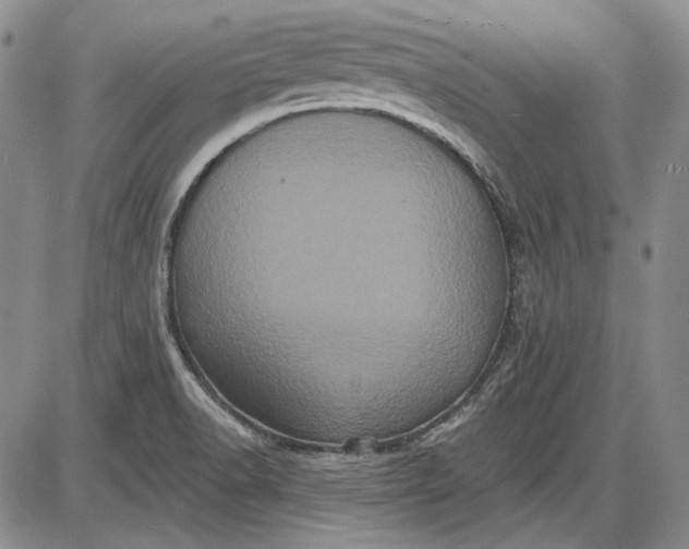 X0000085761518200703301415