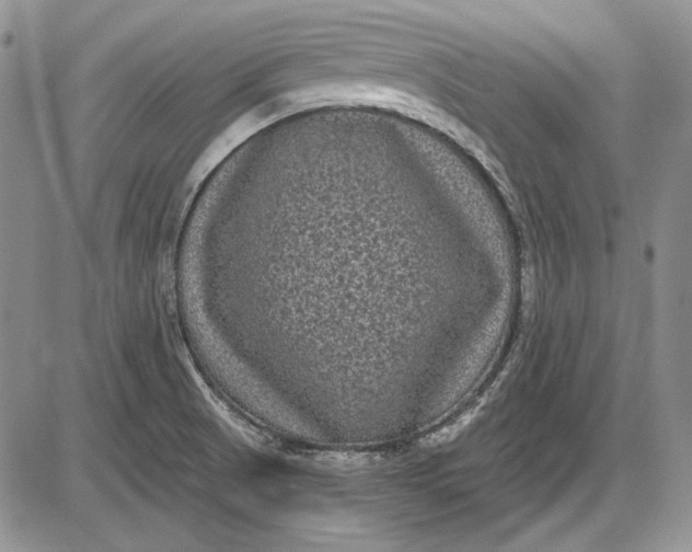X0000085761521200703301415