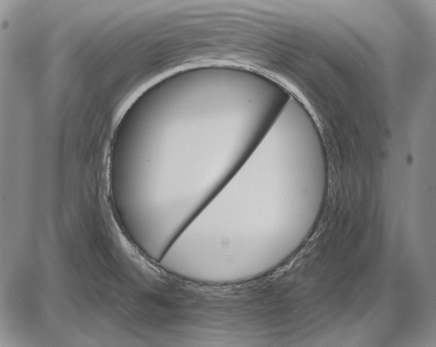 X0000085761524200703301415