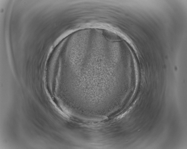 X0000085761525200703301415