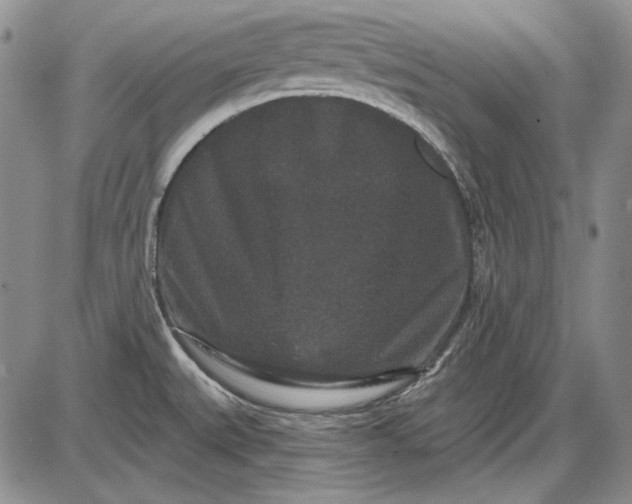 X0000085761527200703301415