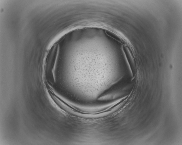 X0000085761528200703301415