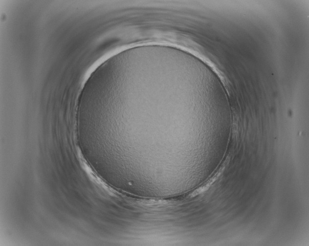 X0000085761534200703301415