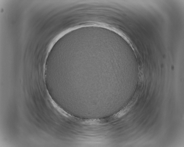X0000085761535200703301415