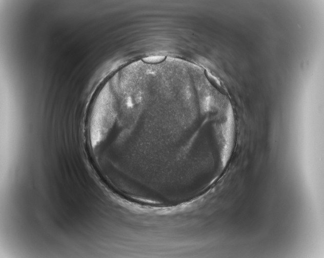 X0000085760002200704091343