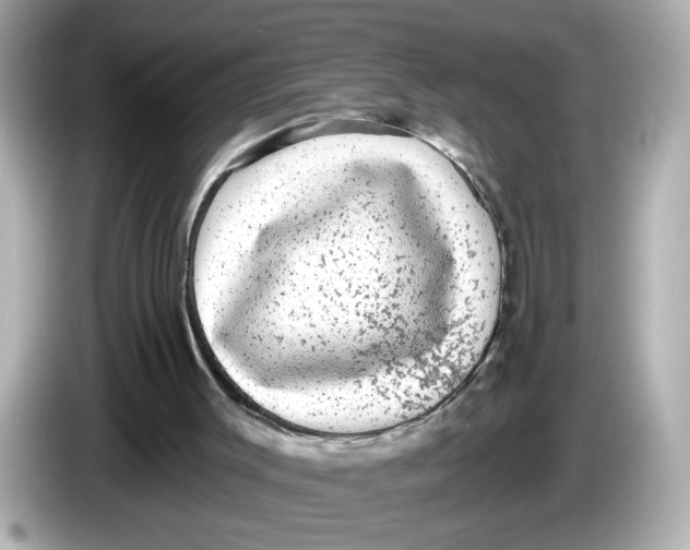 X0000085760003200704091343
