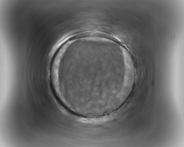 X0000085760005200704091343