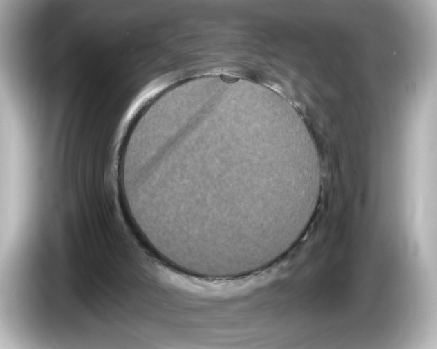 X0000085760006200704091343