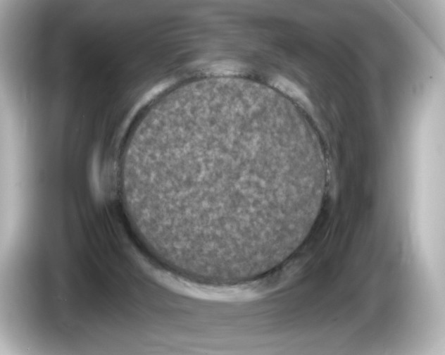 X0000085760012200704091343