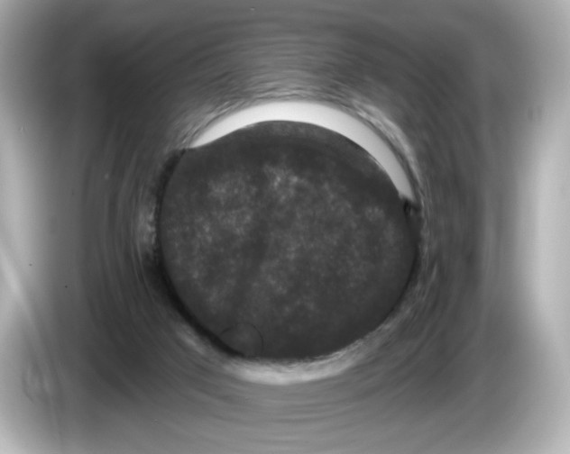 X0000085760017200704091343